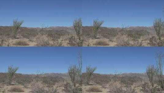 荒芜的沙漠高清在线视频素材下载