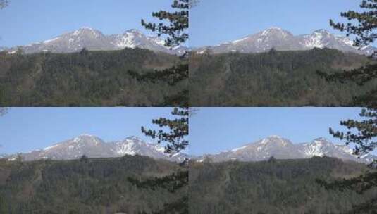 森林和雪山景观高清在线视频素材下载