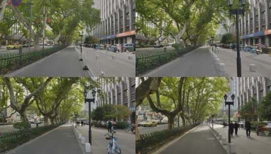 南京街头梧桐树马路街头高清在线视频素材下载