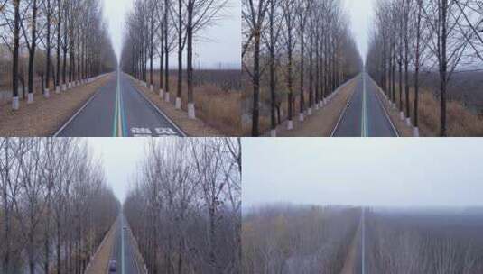 秋天萧瑟的乡村公路高清在线视频素材下载