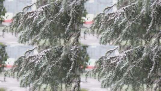 下大雪披着雪衣的圣诞树枝高清在线视频素材下载