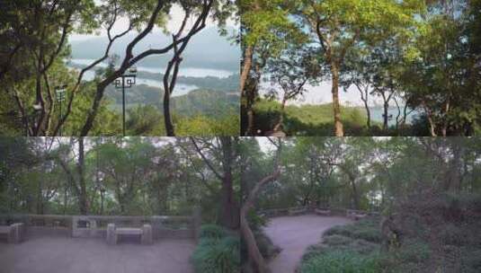 杭州西湖宝石山初阳台4K视频素材高清在线视频素材下载