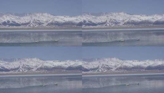 新疆赛里木湖天鹅湖水湖泊高原雪山高山高清在线视频素材下载