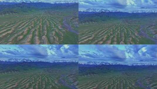 新疆草原羊群航拍高清在线视频素材下载