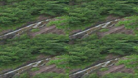 春天的绿色山林和瀑布高清在线视频素材下载