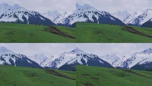 航拍草原雪山森林大自然风景高清在线视频素材下载