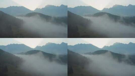 巴伐利亚阿尔卑斯山薄雾日出|4K
D-LOG-完美的颜色分级！
23.976fps
真正令人惊艳的黄金高清在线视频素材下载