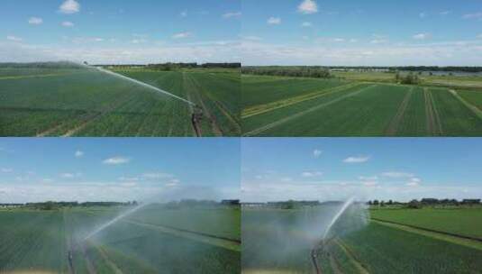 草地农业灌溉系统乡村振兴新农村建设三农业高清在线视频素材下载