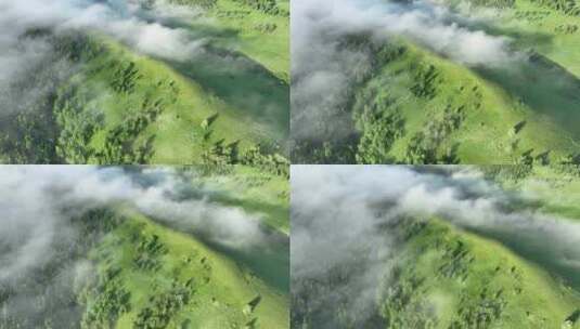 航拍青山森林云雾高清在线视频素材下载