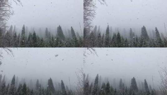 新疆那拉提草原森林雪景高清在线视频素材下载