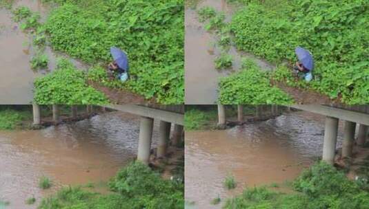 湍急的河流和钓鱼人高清在线视频素材下载