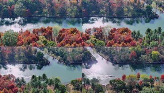 中国杭州西溪湿地河道里的赛艇皮划艇高清在线视频素材下载