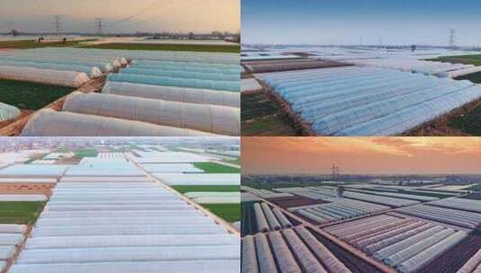 北方冬天大棚高清在线视频素材下载