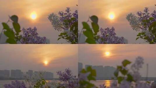 夕阳 晚霞 天空 治愈系 黄昏 唯美高清在线视频素材下载