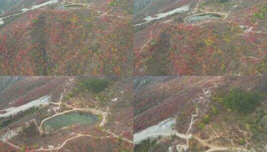 航拍秋季山林红叶景观高清在线视频素材下载