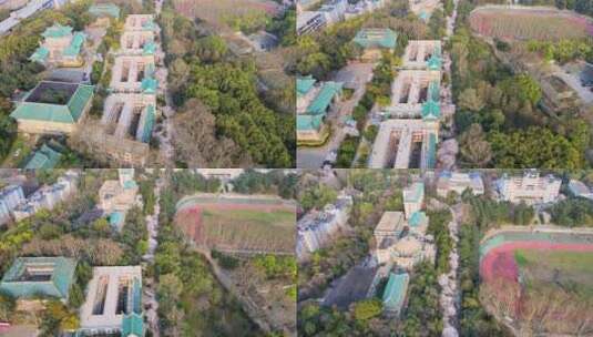 武汉大学樱花航拍高清在线视频素材下载