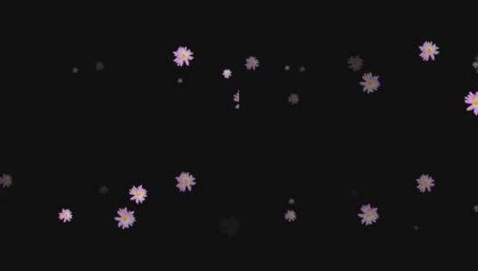 紫色菊花漂浮视频高清在线视频素材下载