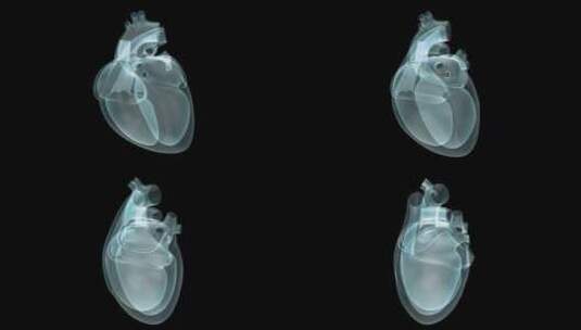 心脏 结构 医学 心跳 心 三维高清在线视频素材下载