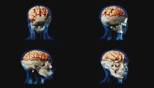 人头大脑旋转高清在线视频素材下载
