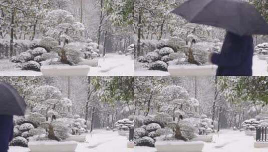 园林下雪雪景人从镜头经过高清在线视频素材下载