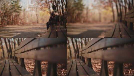 秋树林的长椅高清在线视频素材下载