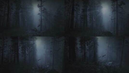 夜晚的迷雾森林高清在线视频素材下载