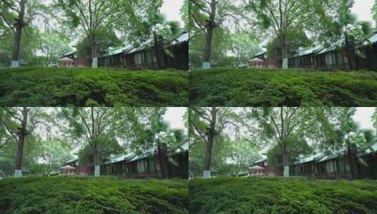 武汉东湖风景区濒湖画廊高清在线视频素材下载