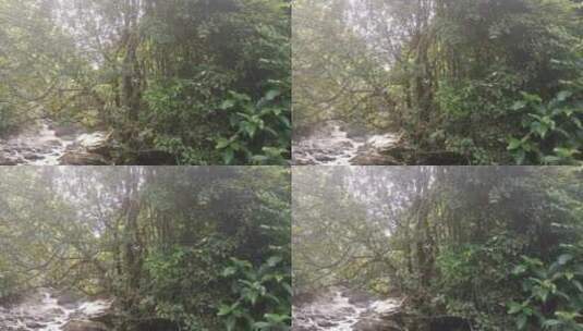 山林里的溪水高清在线视频素材下载