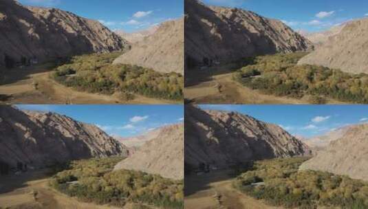 新疆帕米尔高原塔什库尔干花儿为什么这样红高清在线视频素材下载
