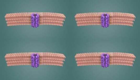 3D医学动画细胞动画 动物细胞 植物细胞高清在线视频素材下载