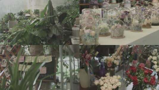 （多镜头）花店花卉花草鲜花镜头高清在线视频素材下载
