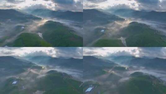 云雾下的茶山村庄高清在线视频素材下载