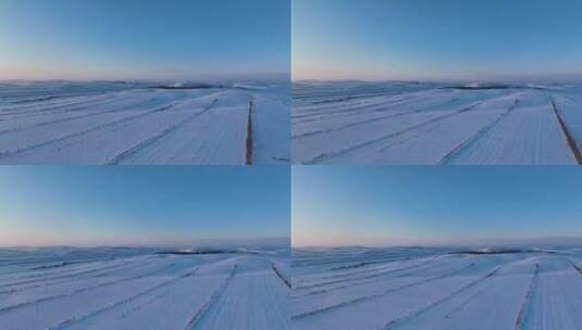 航拍冬天的呼伦贝尔雪原雪景高清在线视频素材下载