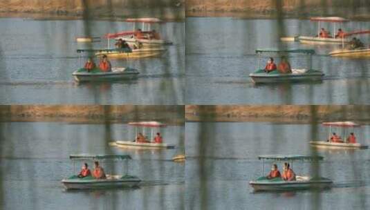 春天生机勃勃的垂柳高清在线视频素材下载