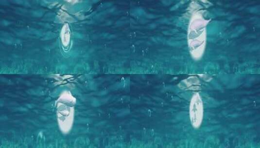 海底泡泡江豚高清在线视频素材下载