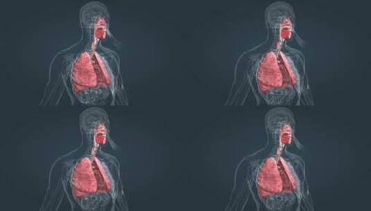 医学人体奥秘支气管肺部肺炎呼吸疾病上呼吸高清在线视频素材下载