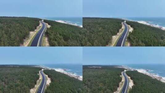 穿过海边森林的公路高清在线视频素材下载