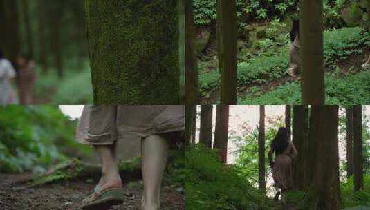 森林散步高清在线视频素材下载