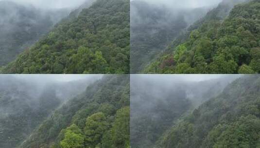 烟雨云雾缥缈的大山高清在线视频素材下载