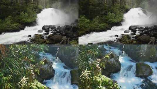 水青苔山泉水流水滴水风景森林自然大自然水高清在线视频素材下载