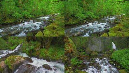 原始森林溪流河流流水石头苔藓青苔高清在线视频素材下载