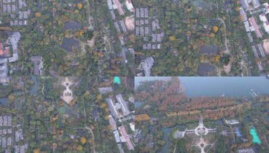 航拍杭州花圃园林景观视频高清在线视频素材下载