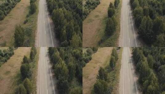 森林间的公路高清在线视频素材下载