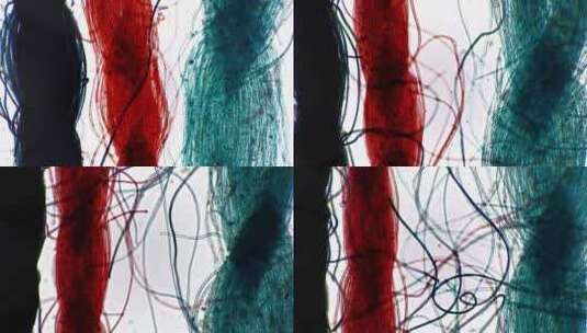 三种颜色的纤维在显微镜下的成像高清在线视频素材下载