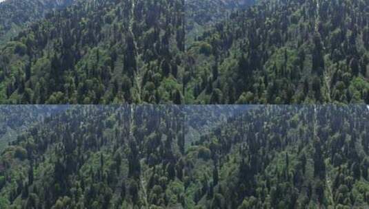 鸟瞰被绿树覆盖的山丘高清在线视频素材下载