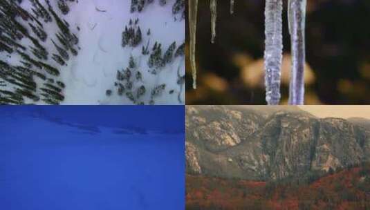 松树林雪山四季变化高清在线视频素材下载