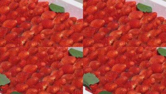 泡沫箱里的草莓高清在线视频素材下载