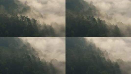 【8K】武夷山日出云雾云海丁达尔光影涌动高清在线视频素材下载