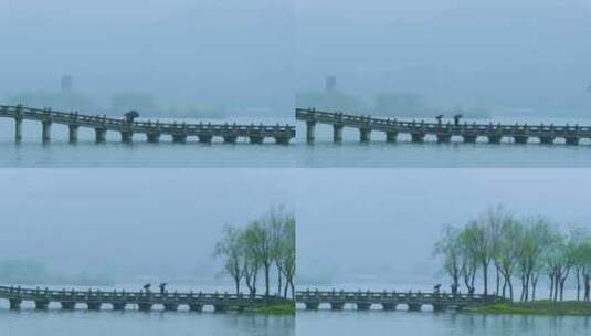 杭州萧山湘湖景区春天春雨高清在线视频素材下载