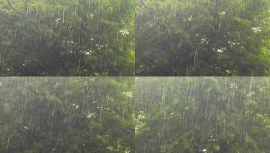 雨滴 唯美雨景 下雨 雨水高清在线视频素材下载